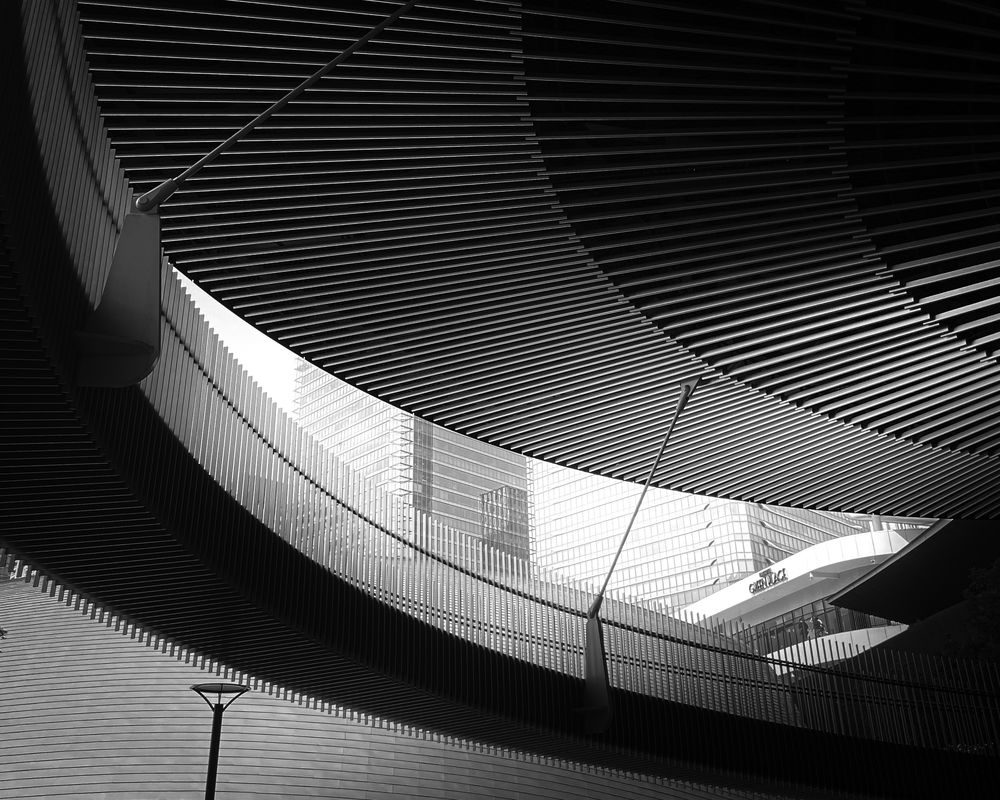 Photograph by KOHAGI