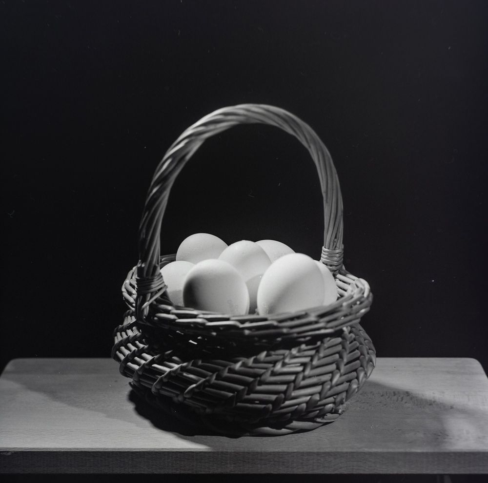 Photograph by Kuzmichev Alexey