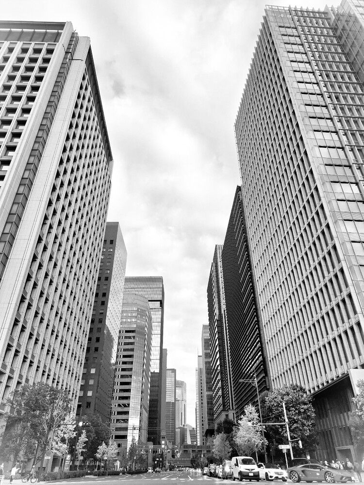 Photograph by Лебедев Олег