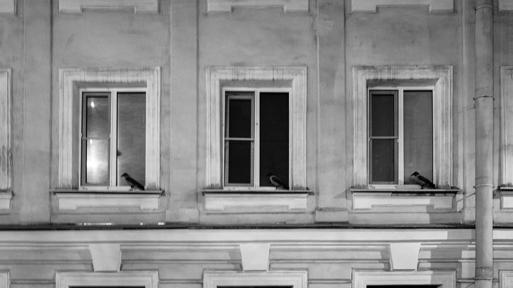 Фотография автора Алексей Раимун