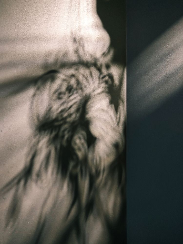 Photograph by Irina Alekseevskaya