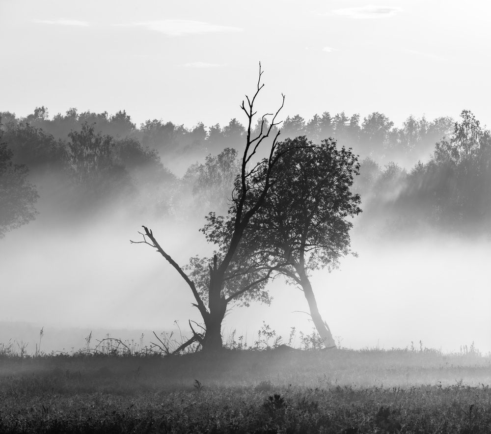 Photograph by Алексей Турчин