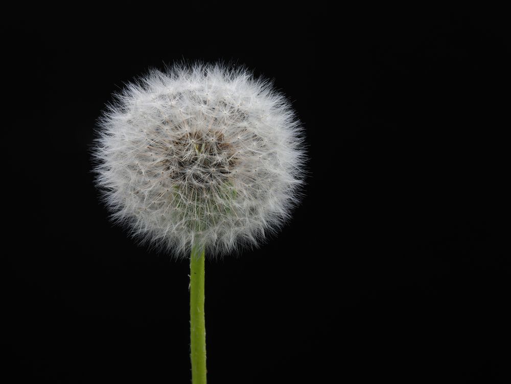 Photograph by Дьяченко Игорь