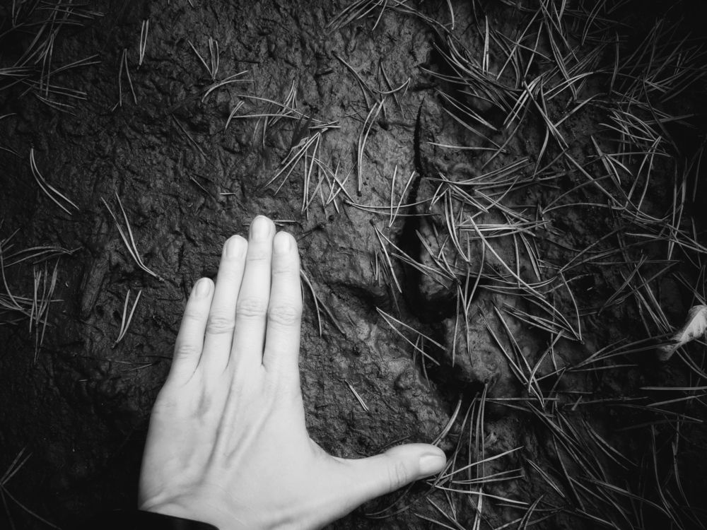 Photograph by Екатерина Солохина