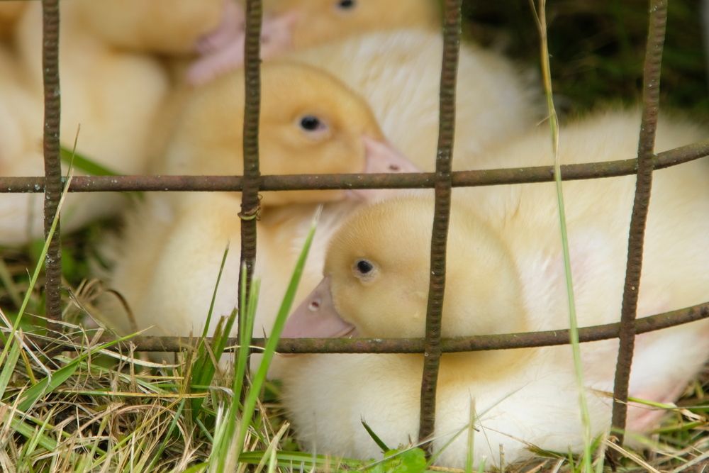 Photograph by Екатерина Морозова