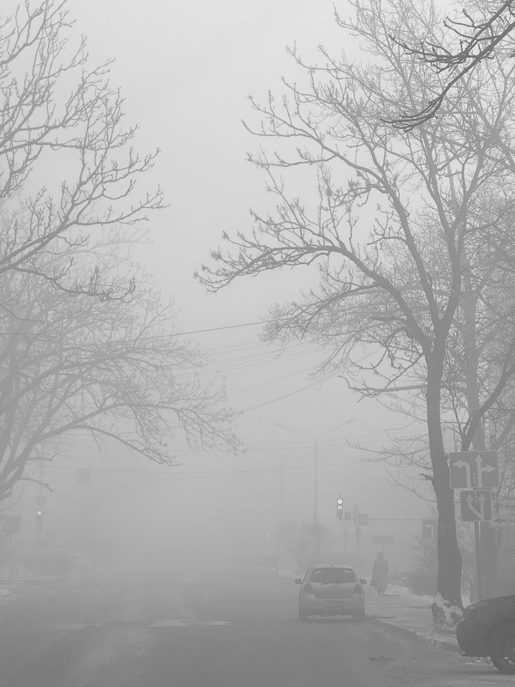 Photograph by Елена Меньшикова