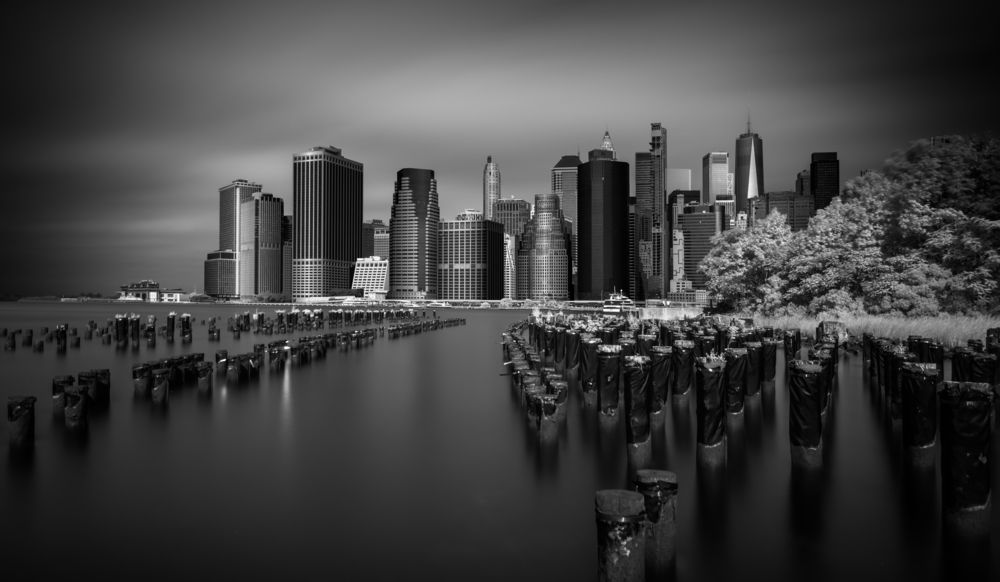 Photograph by Austin Bueno