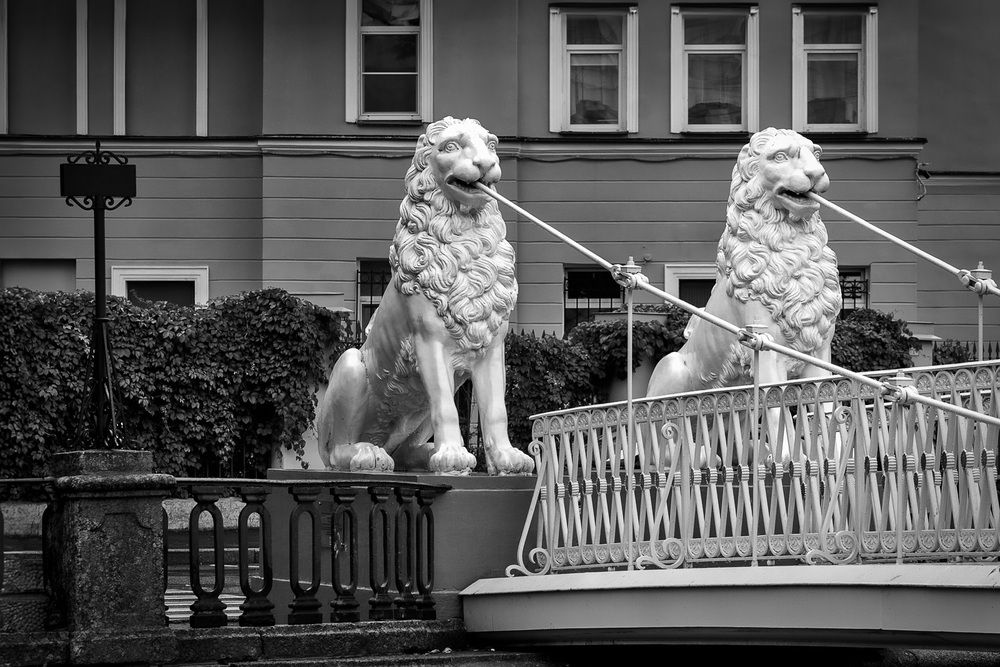 Фотография автора Irina Ostapenko (Nepavlova)