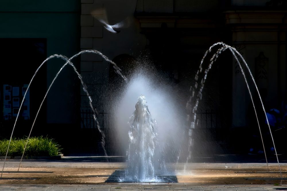 Photograph by Milan Cernak