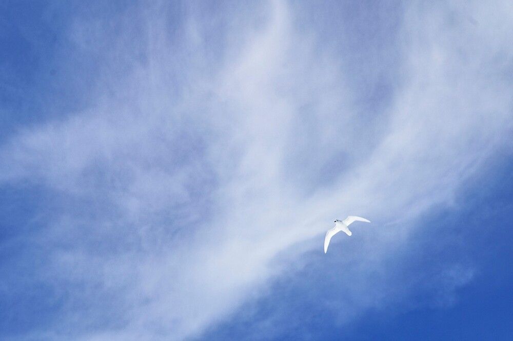 Фотография автора Алексей Логинов