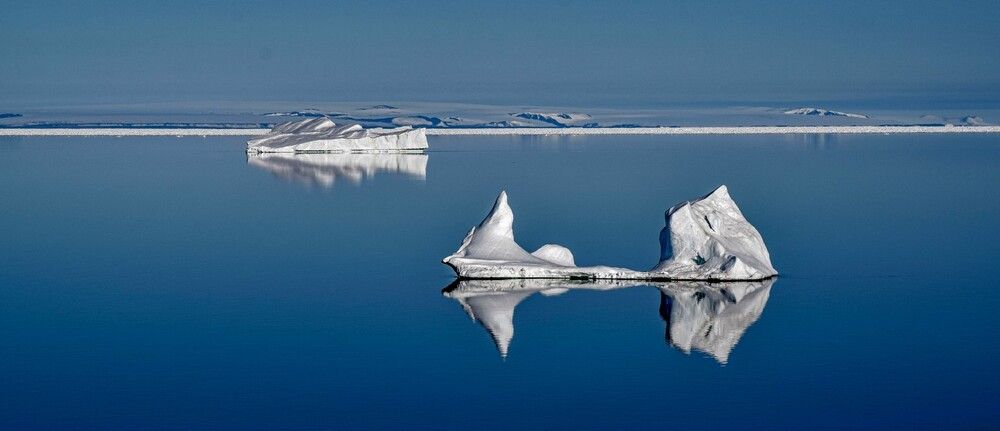 Фотография автора Алексей Логинов