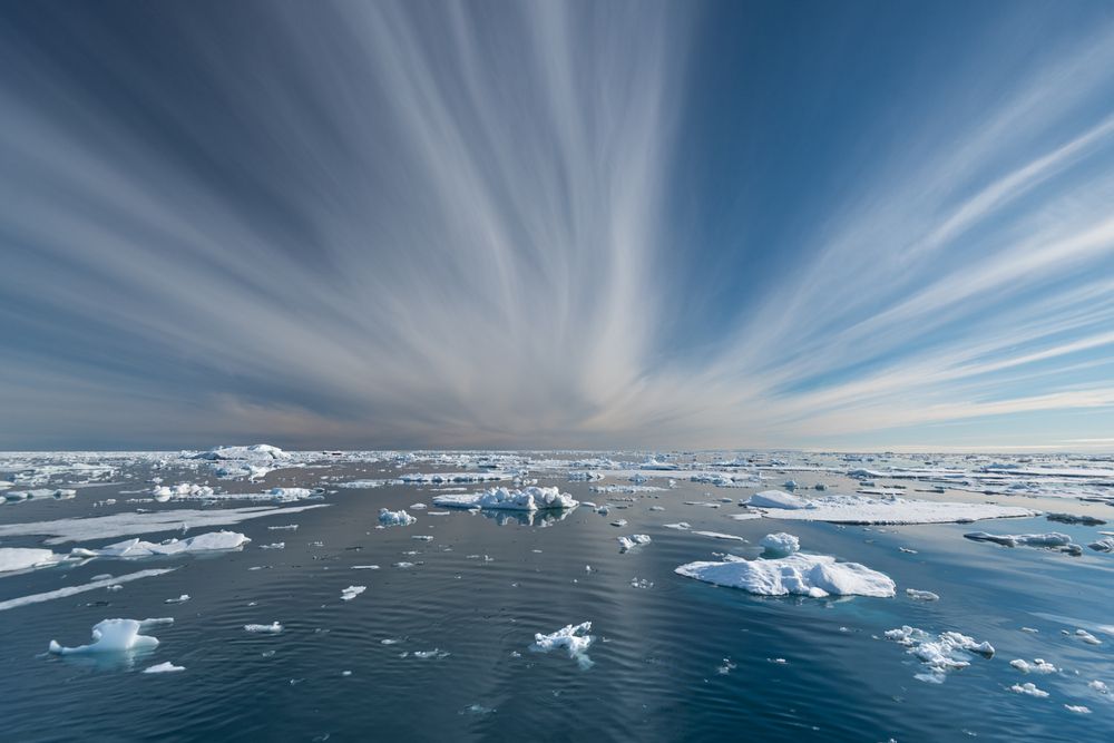 Photograph by Sophie Abuhazera