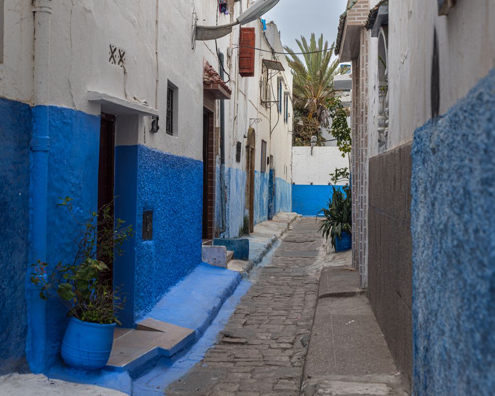 Photograph by Sophie Abuhazera