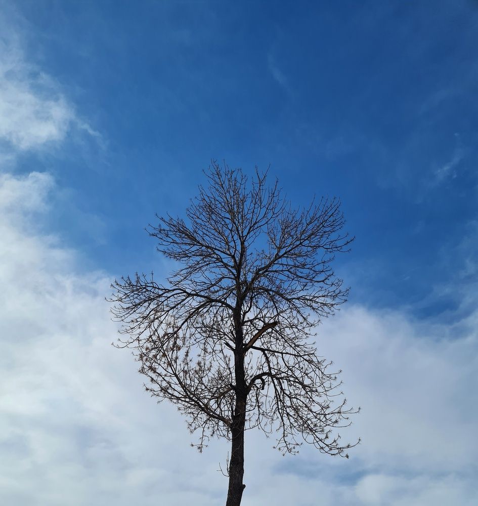 Фотография автора Константин Шипицын