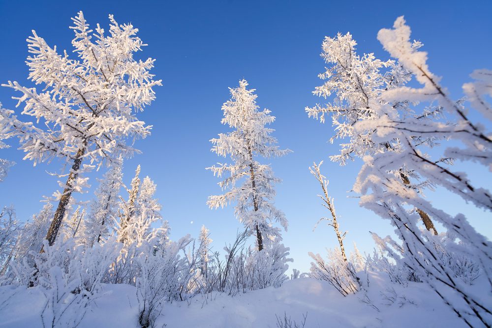 Photograph by Viktoriya Kim