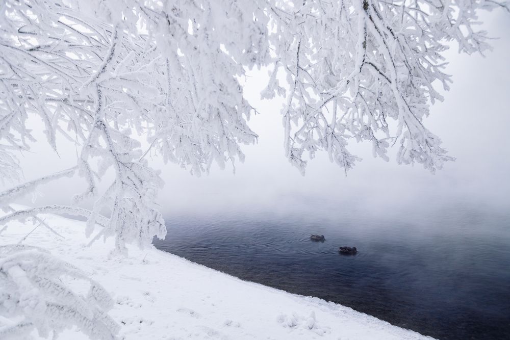 Photograph by Анна Рыжкова