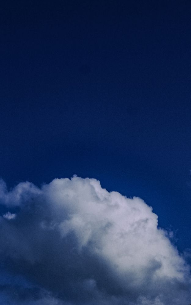 Photograph by Alaa Wahba