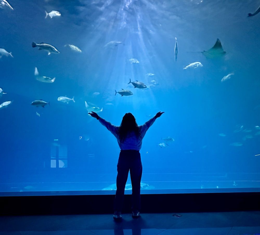 Photograph by Дина Чехова