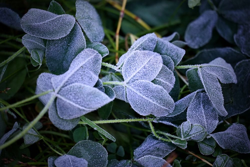 Photograph by Андрей Литов