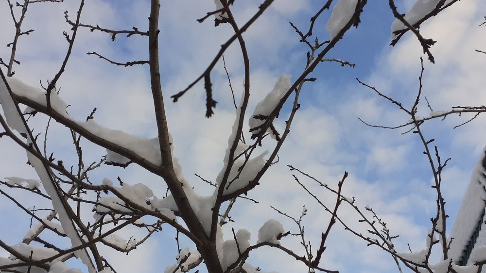 Фотография автора Елена Лещева