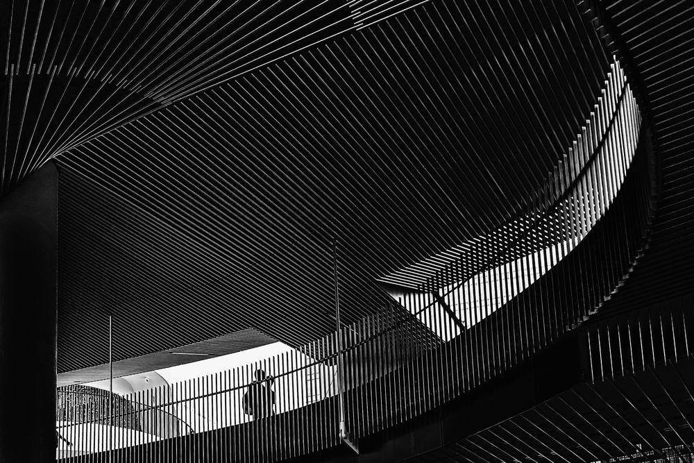 Photograph by KOHAGI