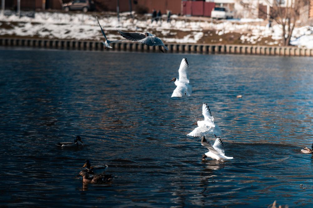 Фотография автора Максим Белоус
