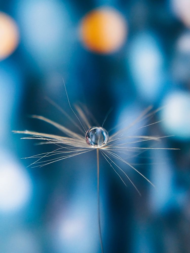 Photograph by Наталья Алексеева