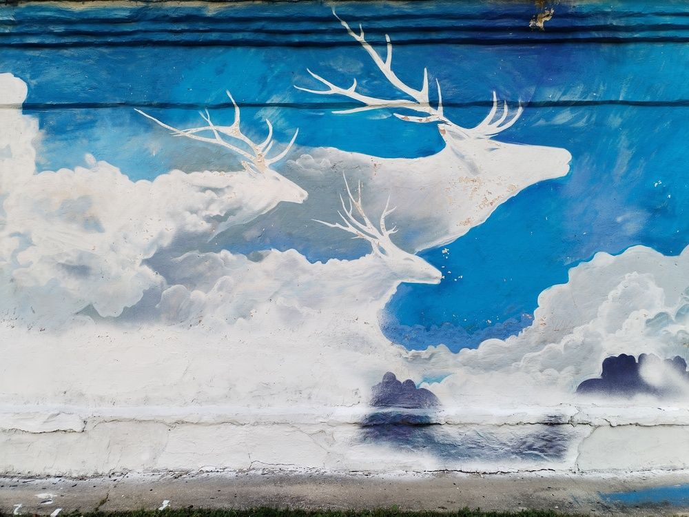 Фотография автора Юлия Финогенова