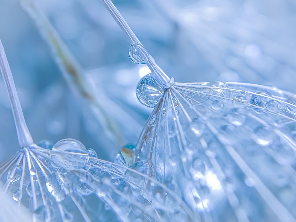 Photograph by Наталья Алексеева