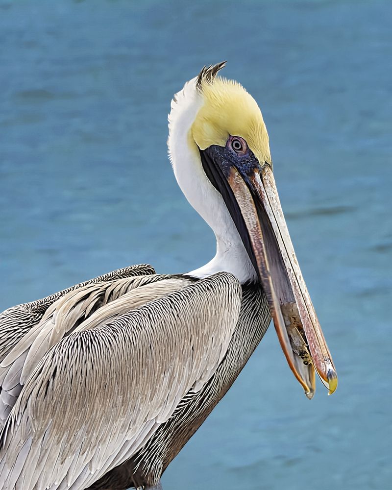 Photograph by Jeff Cooley