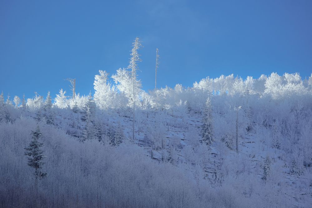 Фотография автора Valdis Serzhans