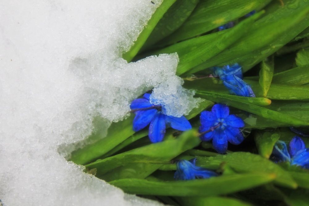 Фотография автора Алла Бойко