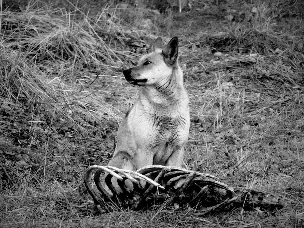 Photograph by Екатерина Солохина