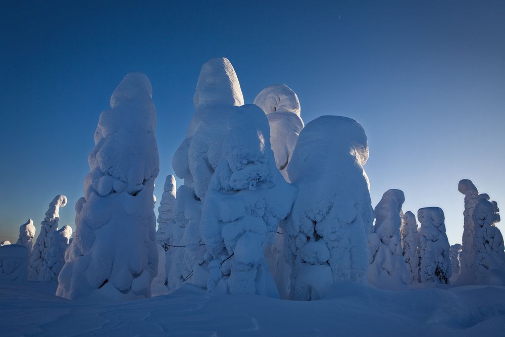 Photograph by Сергей Фомин