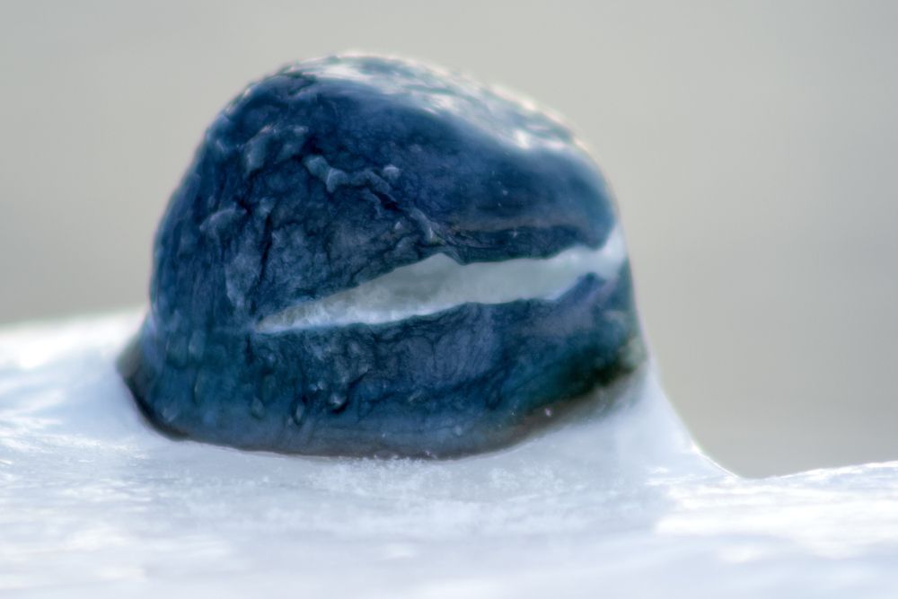 Photograph by Сергей Дудаков