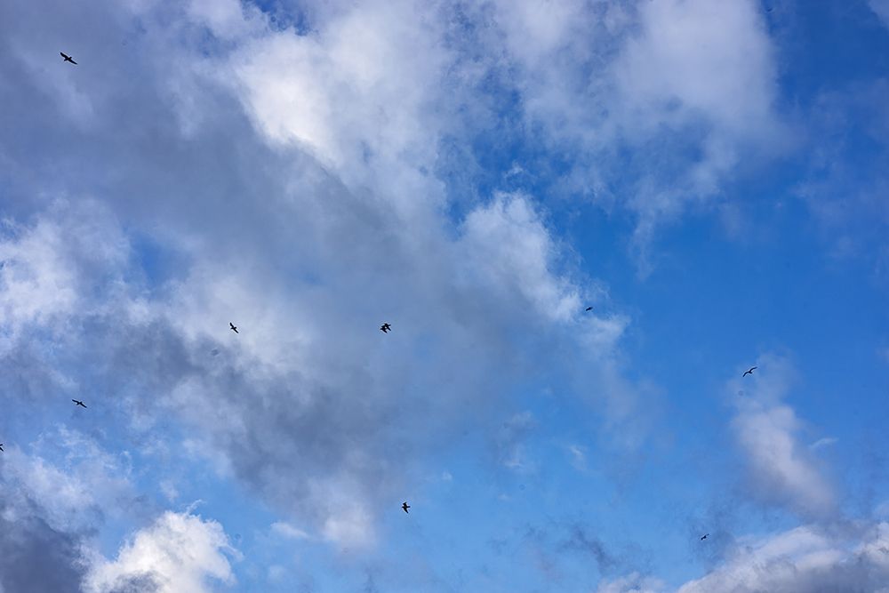 Photograph by миша