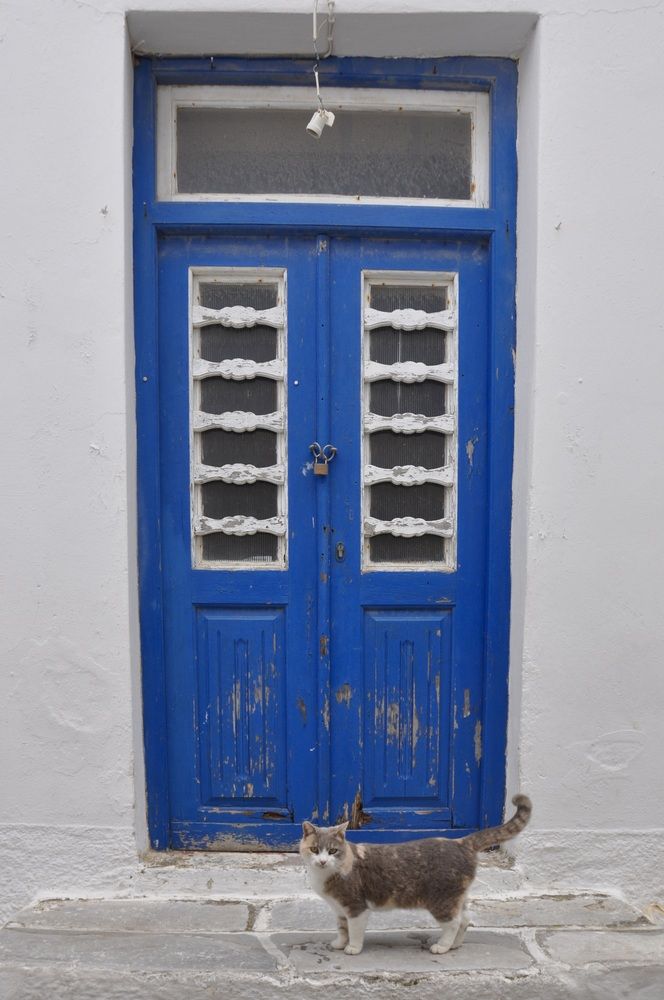 Photograph by Sandra Bruttomesso