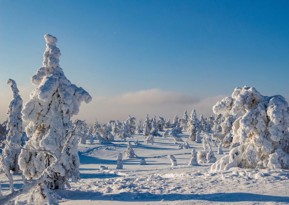 Photograph by Вадим Городницкий