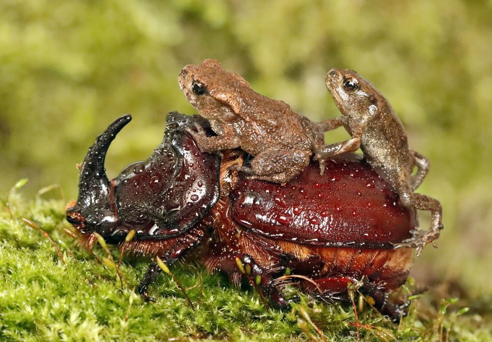 Photograph by Сергей Маслов