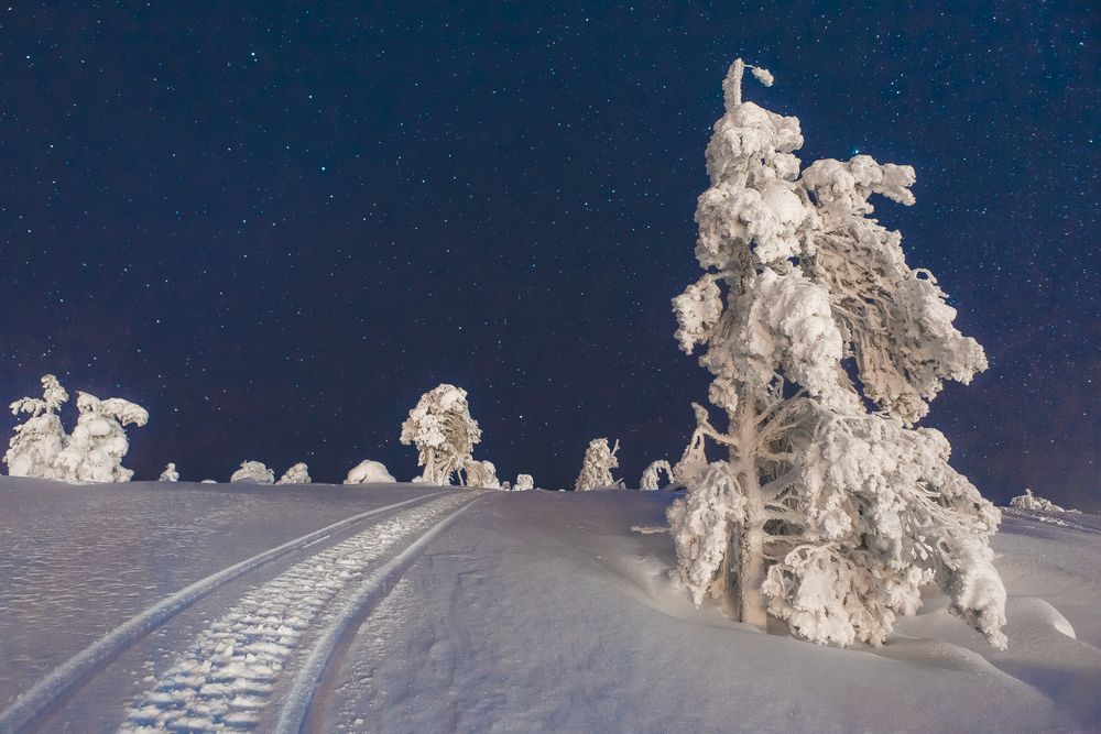 Photograph by Алексей Новиков