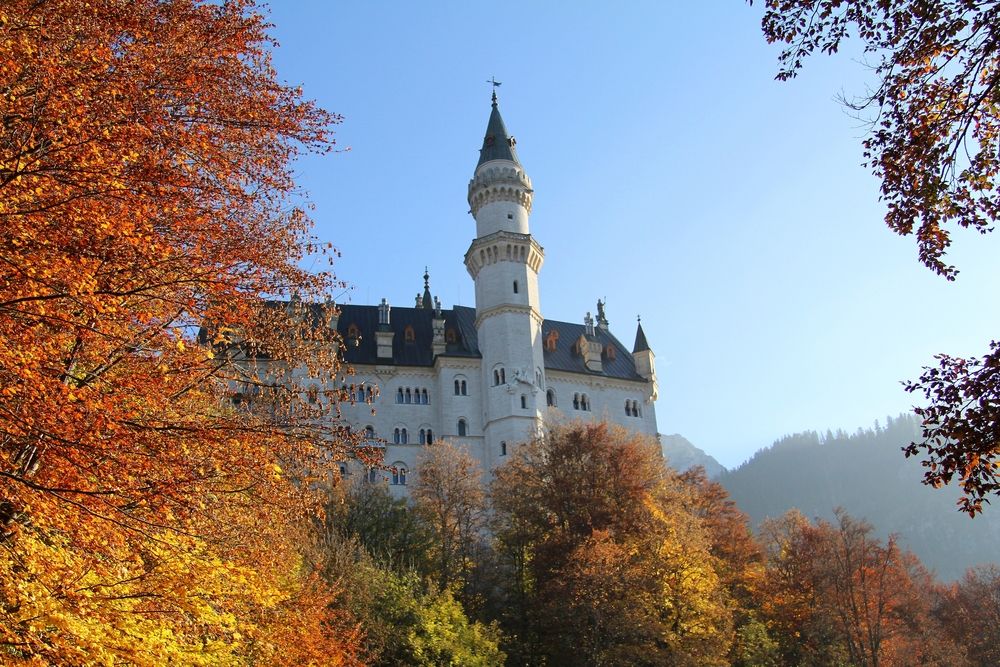 Фотография автора Владимир Кулешов