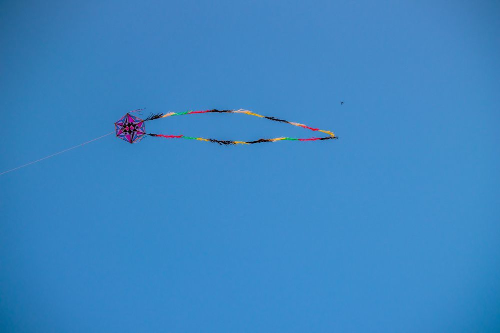 Photograph by Sarrah Yehia