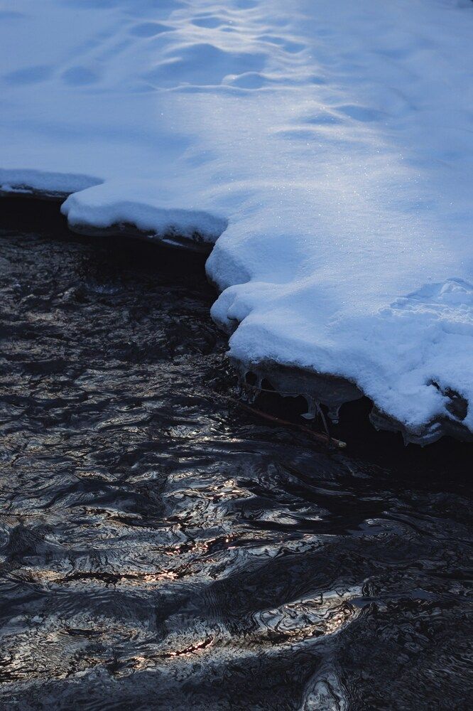 Фотография автора Юлия Соболева