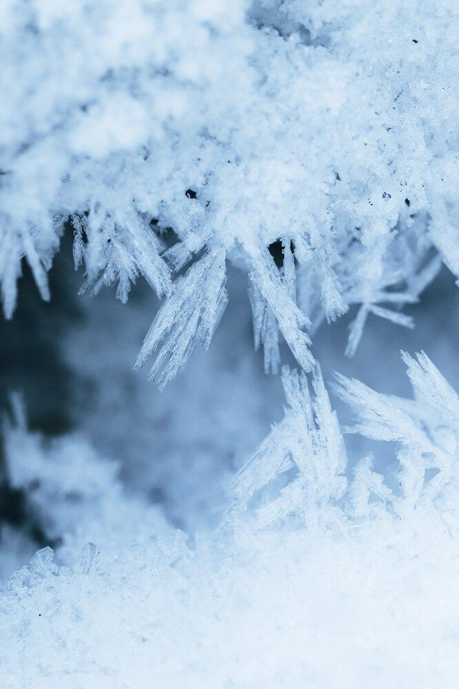 Фотография автора Юлия Соболева