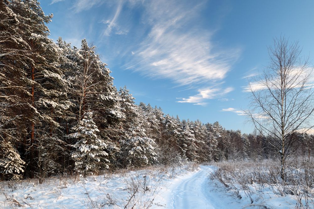 Photograph by Aleksander Perevolotsky