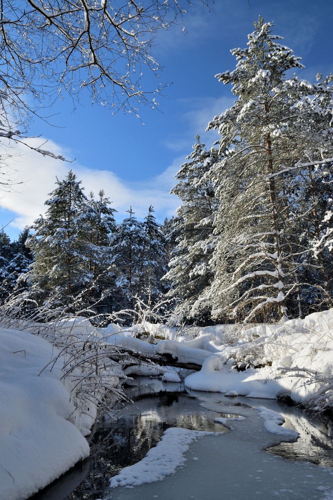 Photograph by Aleksander Perevolotsky