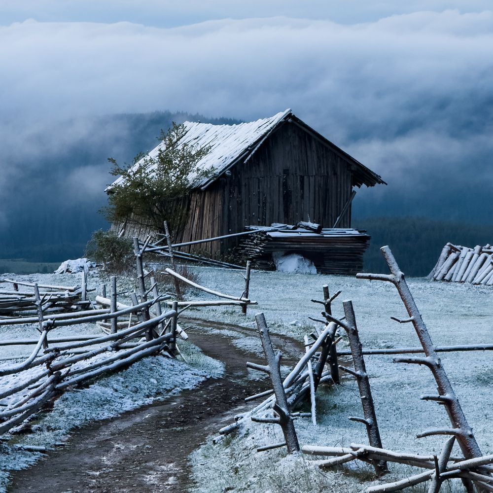 Photograph by Lyuboslav Bochev