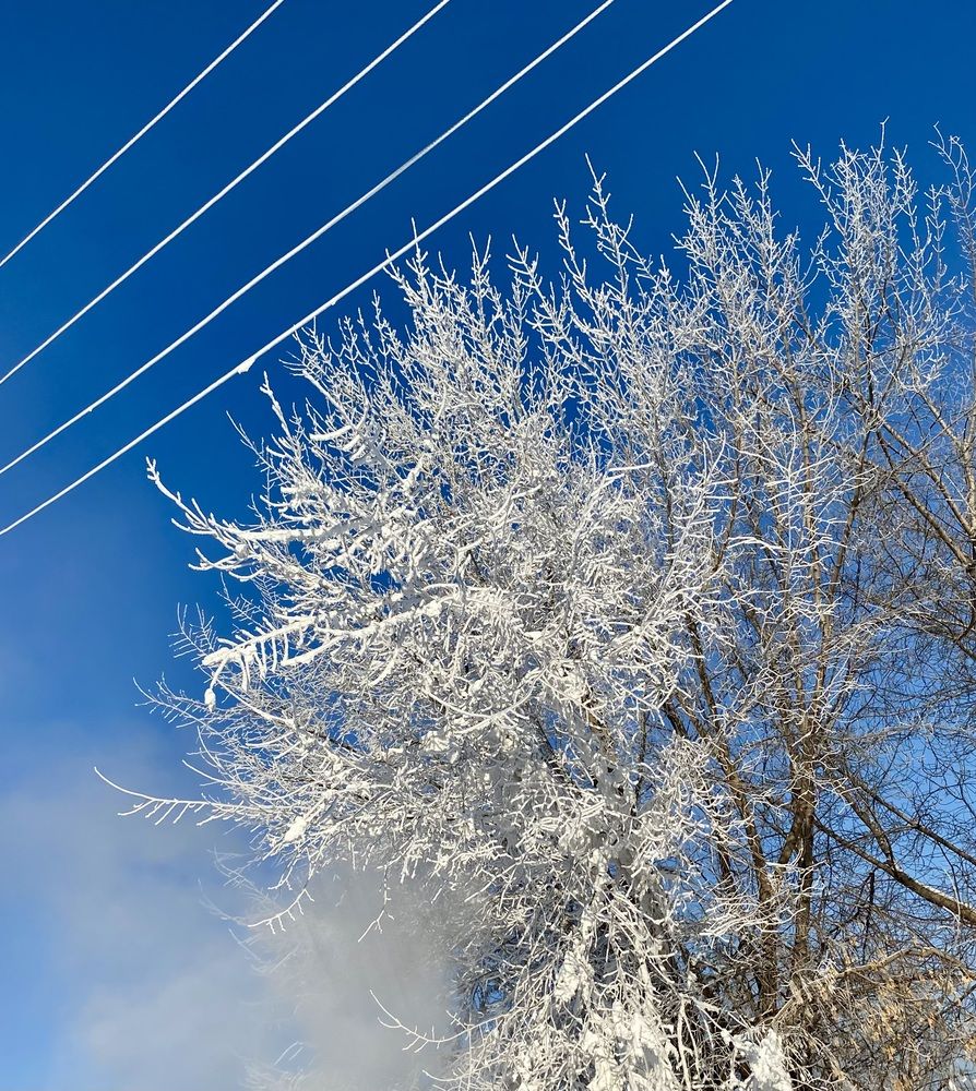 Фотография автора Татьяна Шитлина