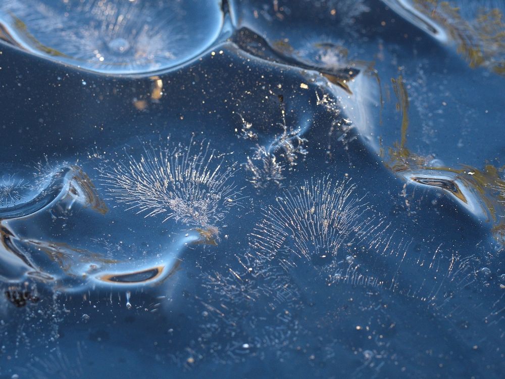 Photograph by Алексей Поляков