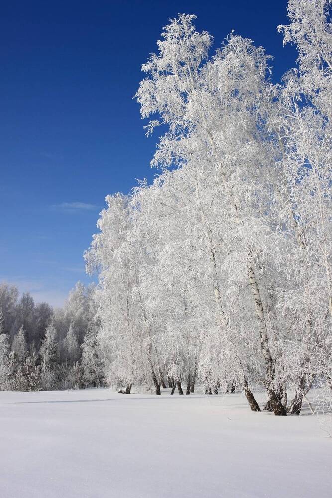 Фотография автора Карпенко Александр